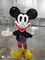 Çocuklar için Mickey Mouse Sıçrama Pedi Su Oyuncak Fiberglas Aqua Park