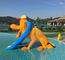 Çift Kanallı Mini Havuz Kaydırağı Fiberglas Çocuk Yüzme Havuzu Köpek Kaydırağı Anti UV