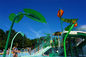Sprig Trapa Yaprak Şelale Yüzme Havuzu Çeşmesi Splash Park için SS 304